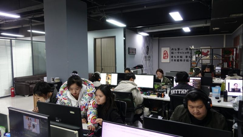 自然类纪录片拍摄技巧，揭秘视频课程背后的奥秘**