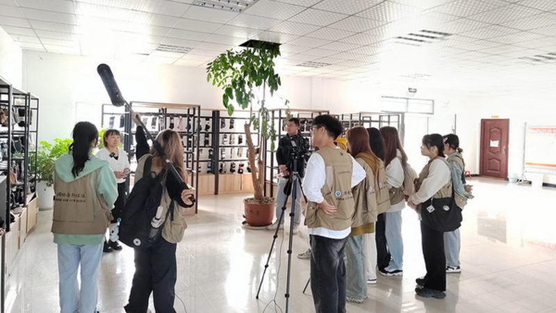 三维动画制作素材下载：揭秘高质量资源获取之道